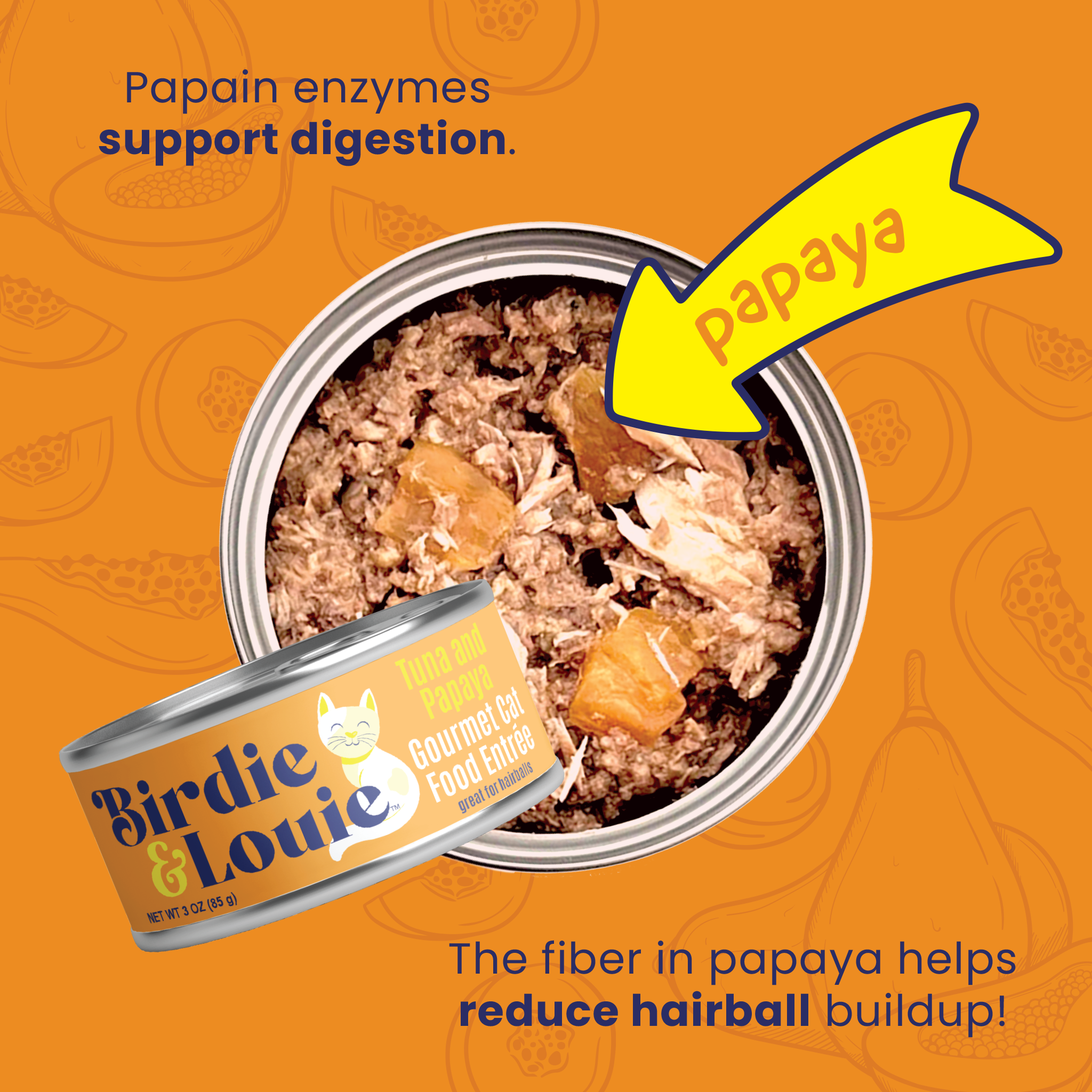Tuna & Papaya 12pk Wet Cat Food