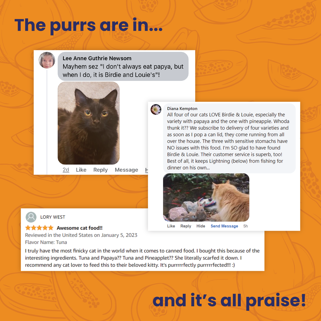 Tuna & Papaya 12pk Wet Cat Food