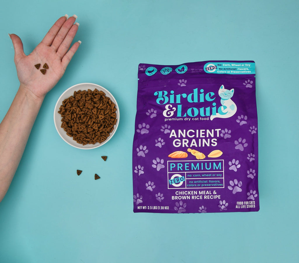 3.5lb Chicken Meal & Brown Rice Recipe Dry Cat Food