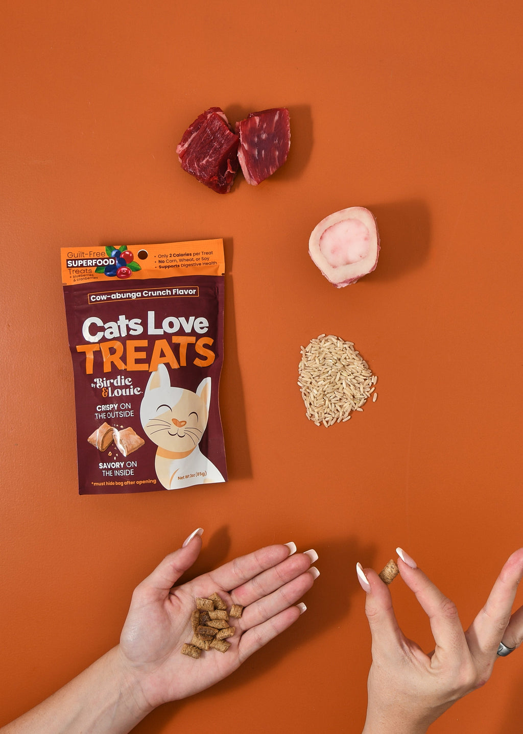 Cow-abunga Crunch Pillow Treats