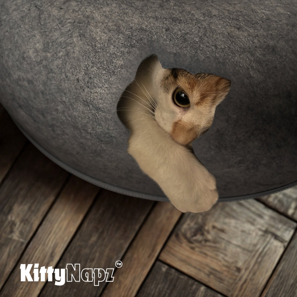 Kitty Napz™